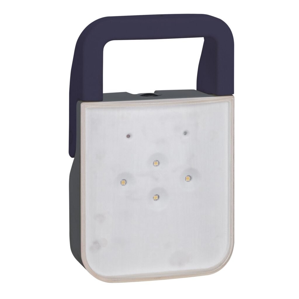 Lampe Bapi LED Avec Batterie Ni-cd 100 lm 230V 1.8W IP55 060894