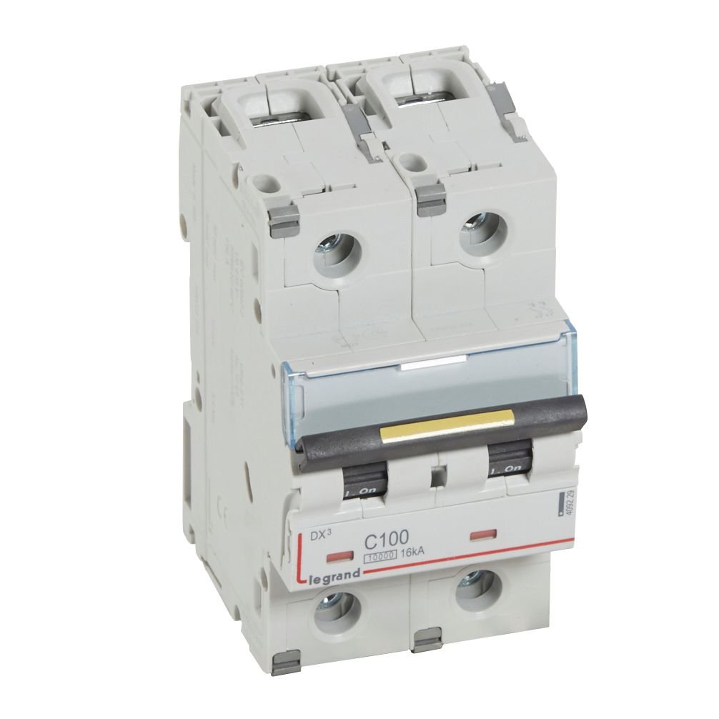 Disjoncteur Legrand DX³ 2P C100 409229