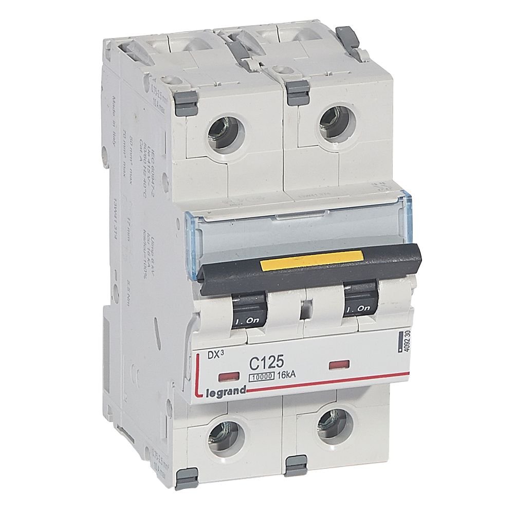 Disjoncteur Legrand DX³ 2P C125 409230