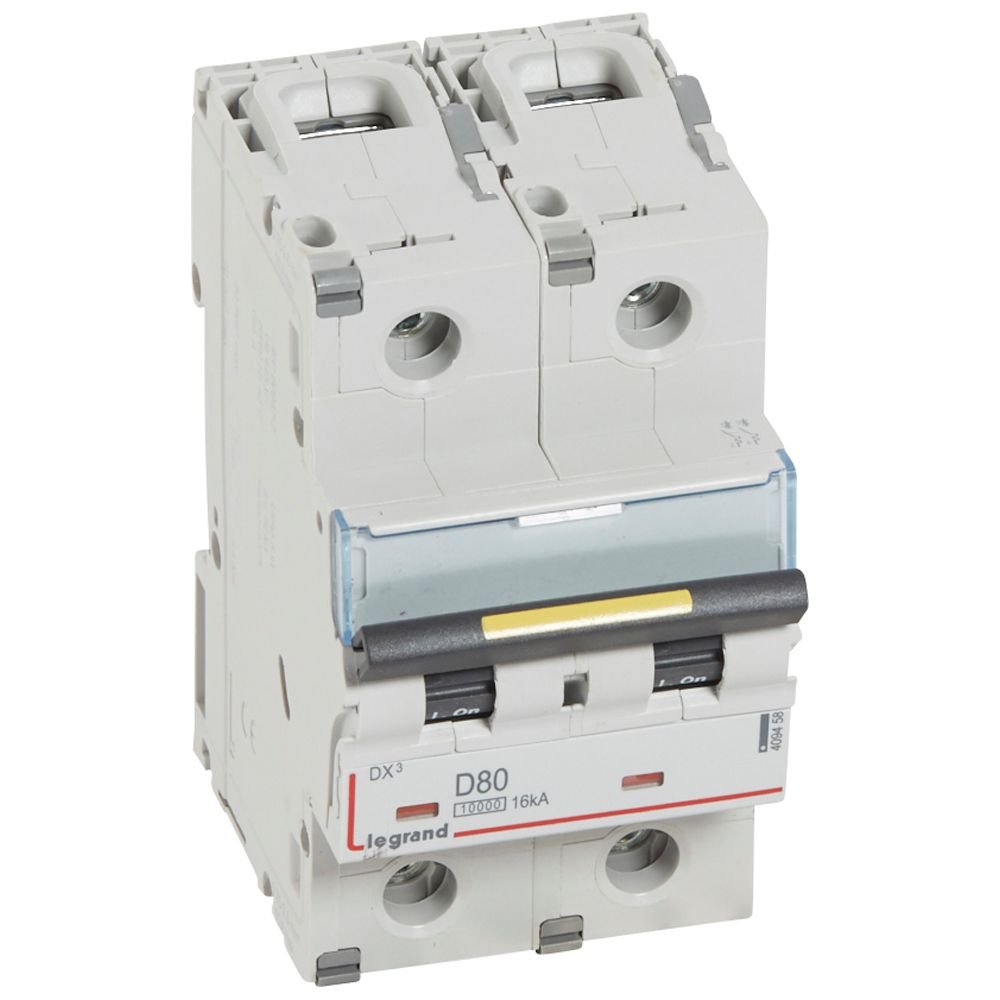 Disjoncteur Legrand DX³ 2P 80A courbe D