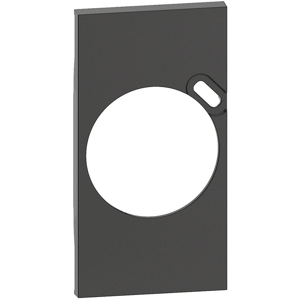 Prise avec USB Living Now ENJ 2M PRISE FR+USB noir Legrand BTKG62