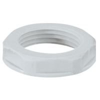 Ecrou Plastique Pour Presse Etoupe Gris 096843