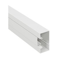 GOULOTTE 45MM 100X50 MM 2 M DLP Legrand 638030